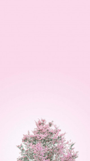 Minimalist Flower Wallpaper