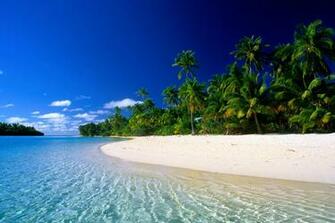 Beaches Palm Trees Water Wallpaper Hq