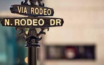 Rodeo Drive Beverly Hills California Animal Birds HD