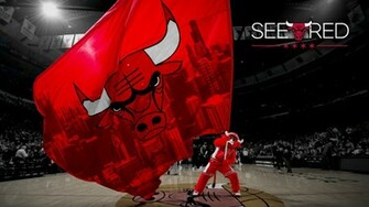 See Red Wallpaper Chicago Bulls