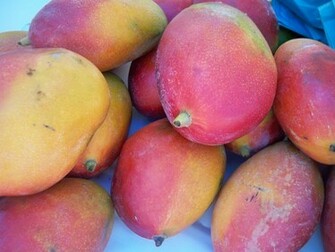 Mango HD Wallpaper
