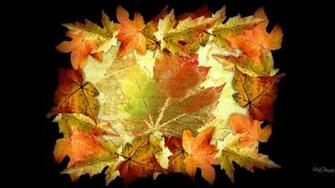 Abstract Autumn Framed Nature Flowers HD Wallpaper