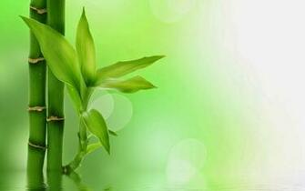 Owens Valley Bishop Acupuncture Chinese Medicine