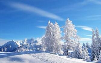 Snow Jpg