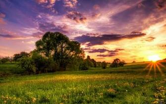 Wallpaper Yellow And Purple Sunset X Widescreen Desktop