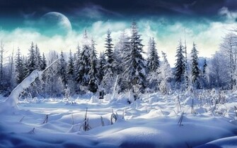 Winter Wonderland Wallpaper Background
