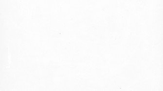 Wb White Bg Wallpaper