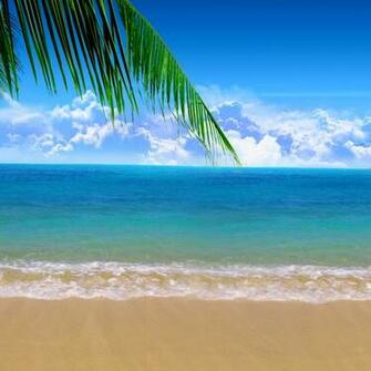 Beach HD Wallpaper For Your Desktop Background Or