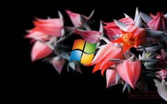 Desktop Wallpaper For Windows Elegance Collections