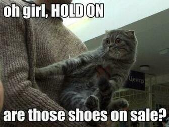 Funny Friday Quotes Wallpaper