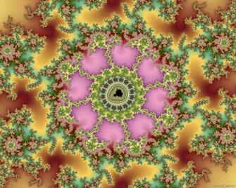 Central Pink Fractal Image By Tanta HD Wallpaper Posters