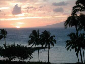 Maui Screen Savers