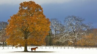 New England Autumn Wallpaper