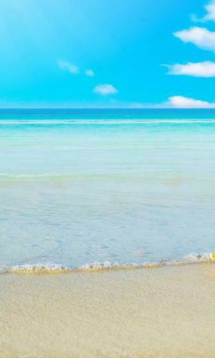 Awe Inspiring Windows Phone Summer Wallpaper