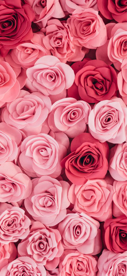 Valentines Day Wallpaper Cute And Lovely Phone