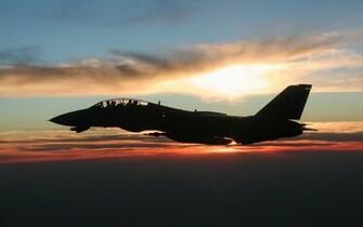 La Colecci N Cazas A Reacci Militar Grumman F Tomcat