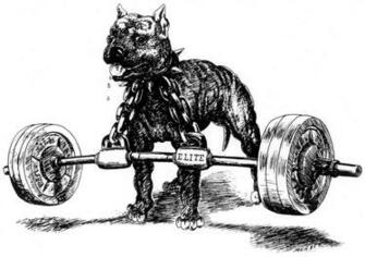 Best Westside Wallpaper Barbell
