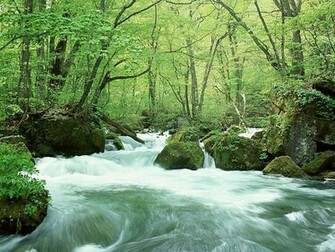 Nature Photography Spring Wallpaper Scene