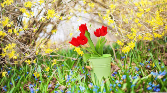 4k Spring Wallpaper