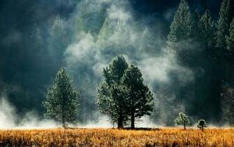 Pacific Northwest Wallpaper
