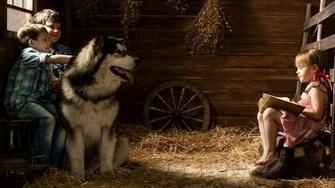Image Little Girls Alaskan Malamute Dog Boys Children Hay
