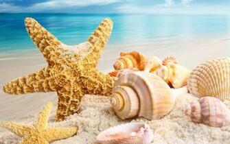 Wallpaper Size Amazingpict HD