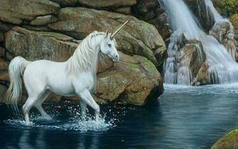 Horse Wallpaper HD 1080p Desktop Background For