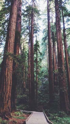 HD iPhone Wallpaper More At