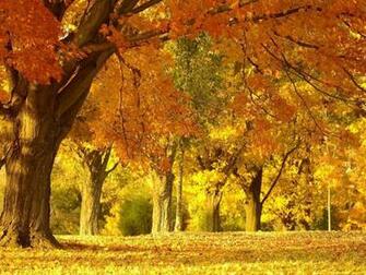 Tag Beautiful Autumn Scenery Wallpaper Background Photos Image
