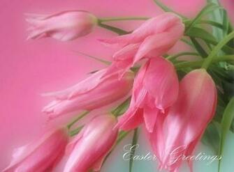 Easter Greetings Wallpaper Flower