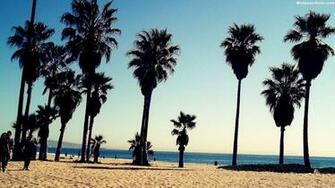 Venice Beach Wallpaper Pictures Image