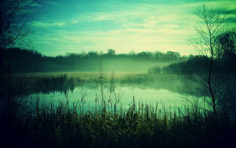 Spring Landscape Wallpaper High Definition Quality