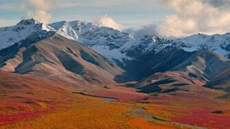 Denali National Park Mountain In Alaska United States Wallpaper
