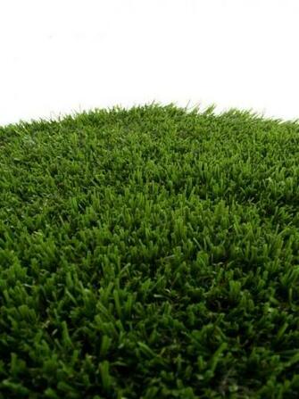 Grass Top Of The Surf