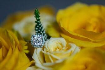 Wallpaper Diamond Cut Roses Yellow Ring Flower Closeup