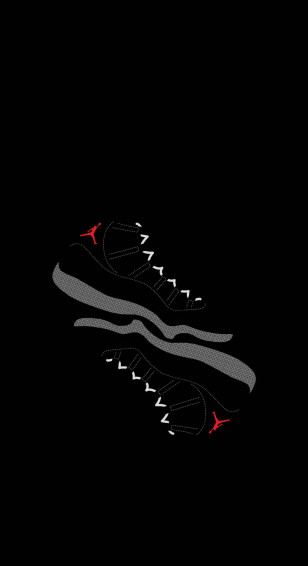 Top Cartoon Nike Shoes Wallpaper Full HD 4k To Use