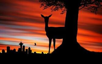 Animals Silhouette Deer South Africa Johannesburg Wallpaper
