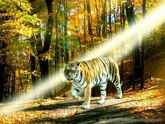 Animation Wall Cute Animals Wallpaper
