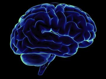 Ways To Train Your Brain Become More Positive Abovewhispers