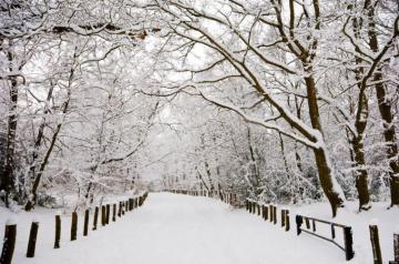 Winter Season Snow Road R Wallpaper