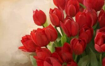 Red Flowers Wallpaper
