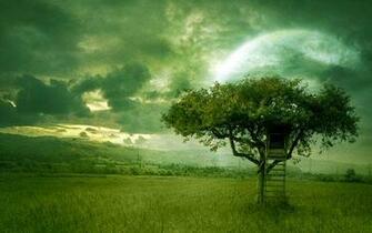 Use High Quality Wallpaper And Attract Others Towards Your Desktop