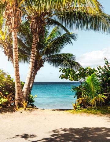 Beach Wallpaper HD Hq