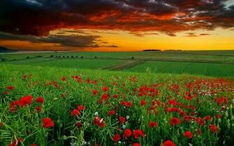 Beautiful Scenery Wallpaper HD Pictures One