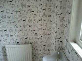 The Cool Photo Above Is Part Of Best In Show Wallpaper For Interior