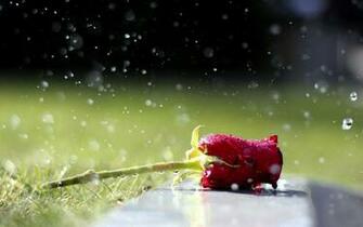 Inspirational Quotes Amp Nature Wallpaper Cute Lovely Fb