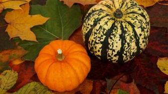 Best Thanksgiving Wallpaper All