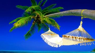 Hammock Beach