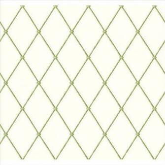 Sample Ordered Ashford House Blooms Bamboo Harlequin Wallpaper Ak7530