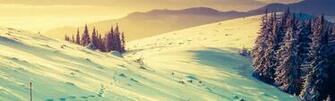 Background Image In Collection
